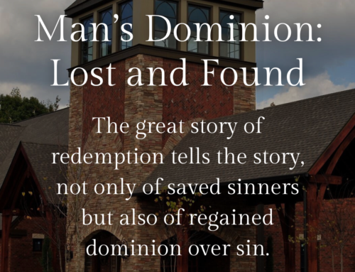 Man’s Dominion: Lost and Found